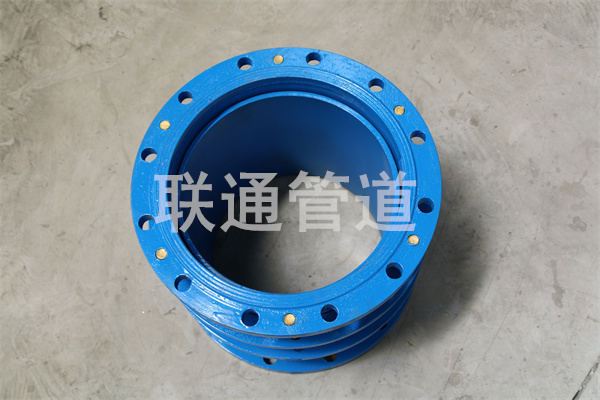 ��(n��i)�ɹ������s���^