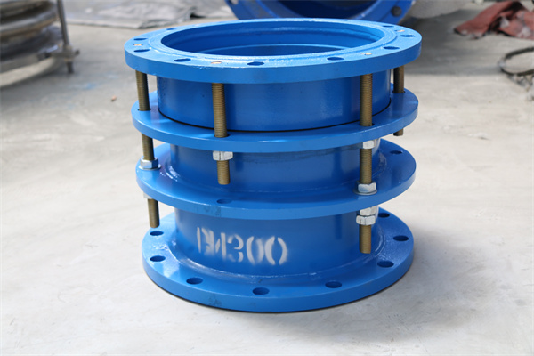 ��s����̖(h��o)BM300ʲô��˼